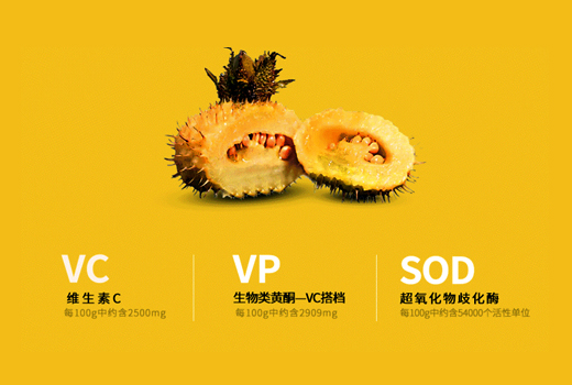 天然維生素C-巴西針葉櫻桃貴州刺梨濃縮汁