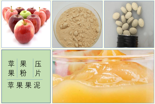 蘋(píng)果果泥果醬果粉果醋壓片精深加工技術(shù)