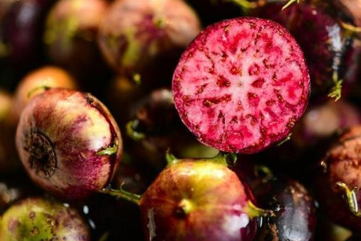 紅果參蜘蛛果深加工生產(chǎn)線