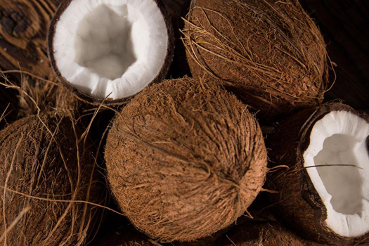 椰子深加工生產(chǎn)線