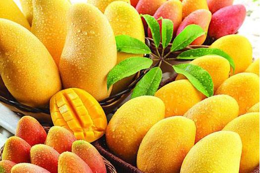 芒果深加工生產(chǎn)線